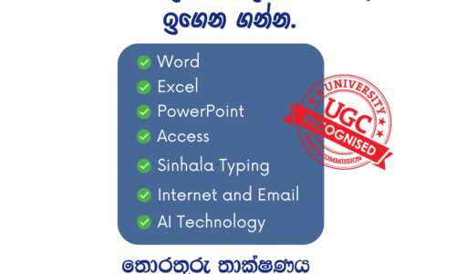 Certificate in Information Technology